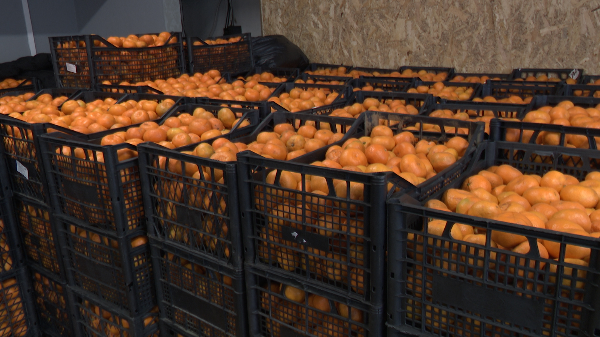 Из Казани в Лисичанск и Рубежное отправили 18 тонн мандаринов